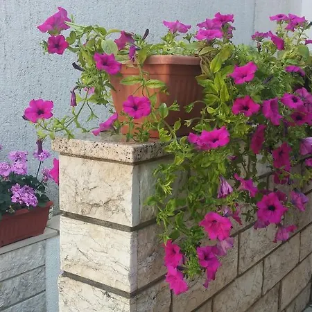 Melina Апартаменты Омишаль